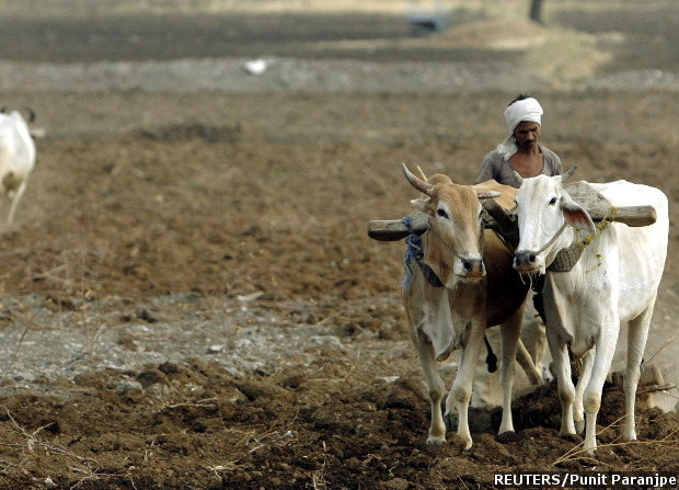 Farmers