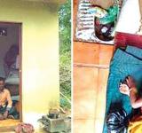 Adivasis