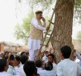 Union minister of state for finance Arjun Ram Meghwal climbs a tree to get proper network 