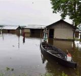 Assam Flood