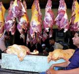Indian beef Export