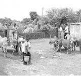 farmers