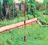 chhattisgarh-forest