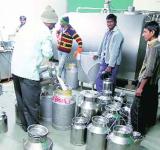 Tribal milk producers in Gujarat hit hard