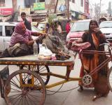 Darbhanga