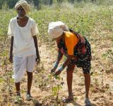 Farmers Distress