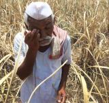 farmers Income
