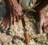 farmers protest