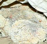 Fertilizer waste