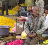Flower Market