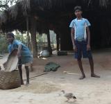 Somaru Pottam, 13 Year Old Gunned Down in Fake Encounter on December16,2016