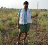 Indian Farmers