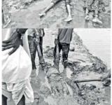 Flood in gujarat