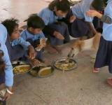 Rajasthan School 