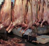 meat industry