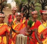 Tribes