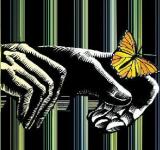 Dalit Undertrials