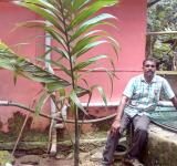 Indian well